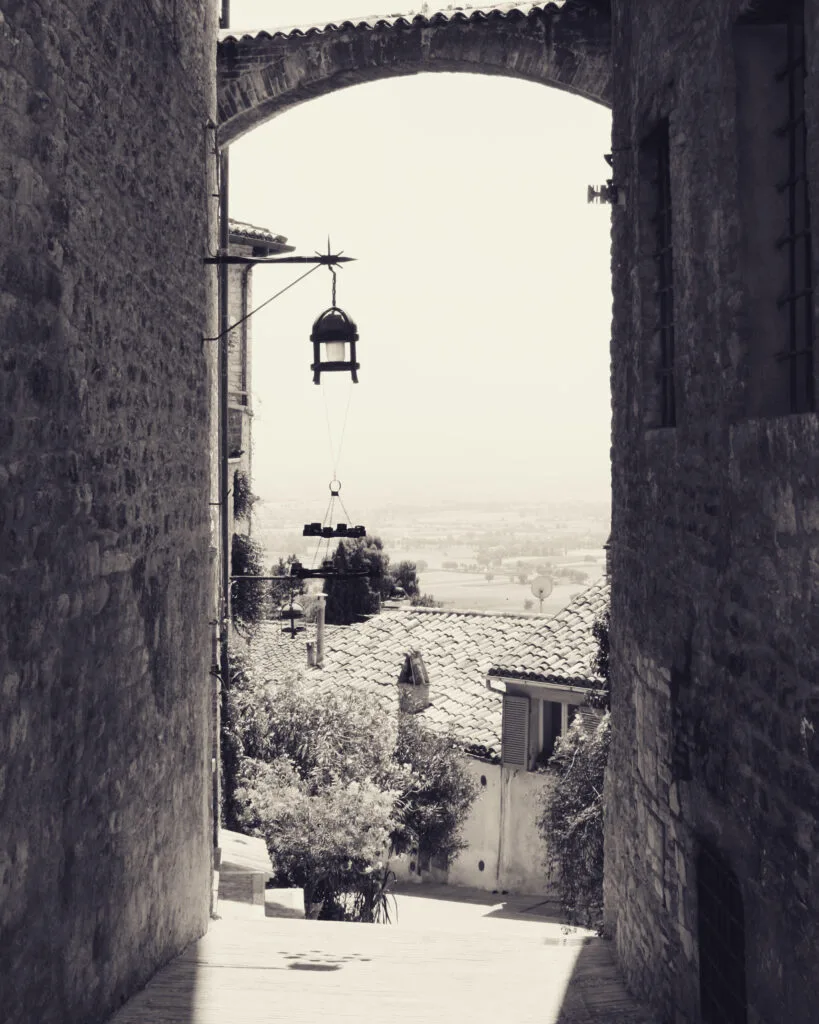 OLD WORLD