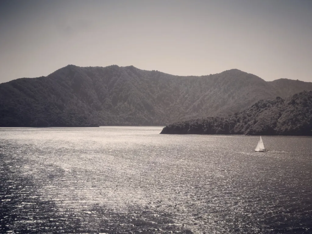 FAR SHORE