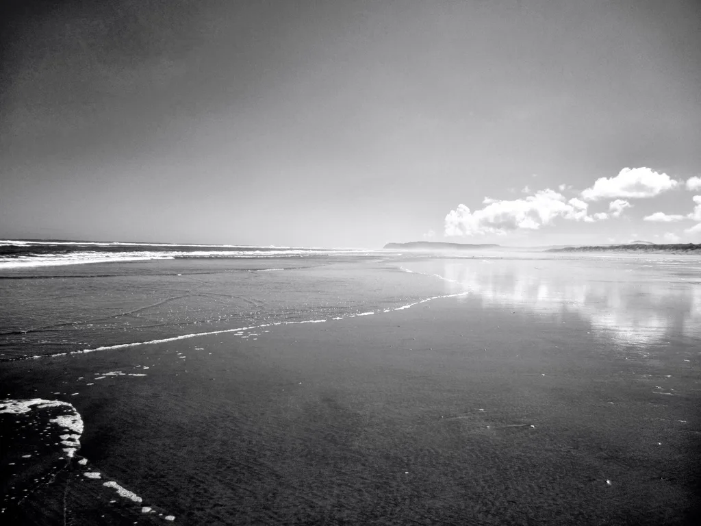 LOW TIDE LINES