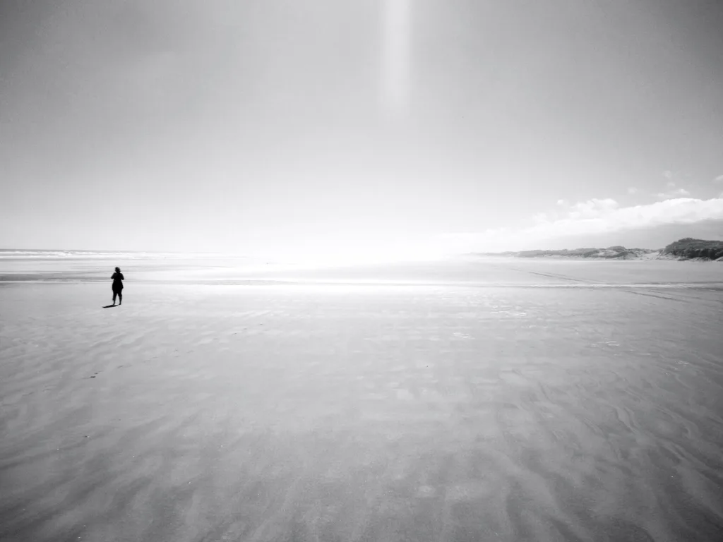 INTO THE PALE