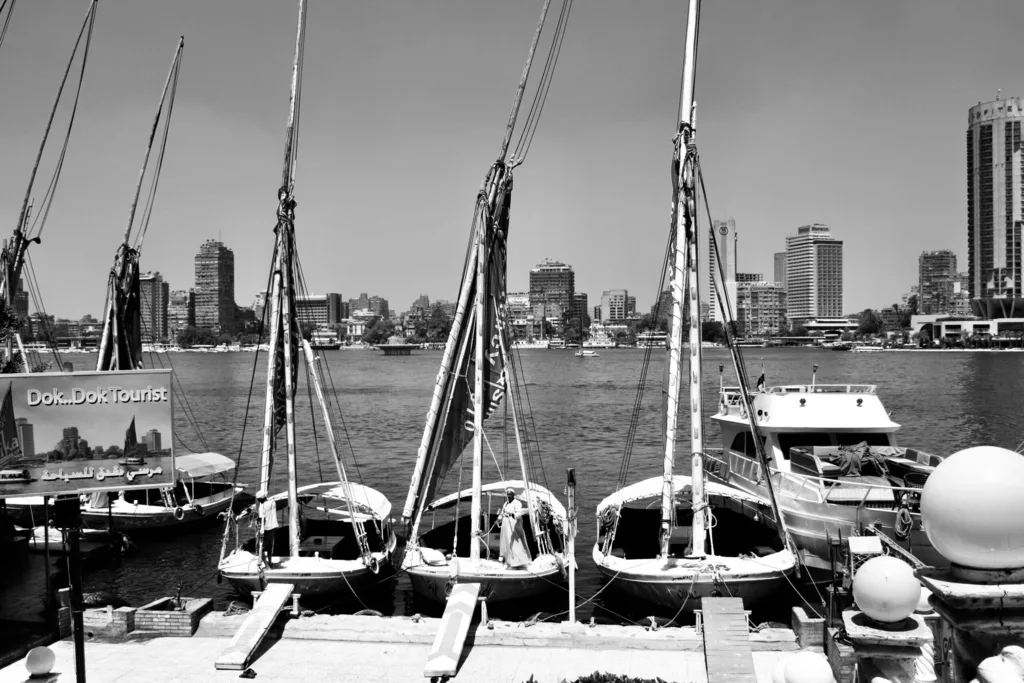 HARBOR LIGHTS