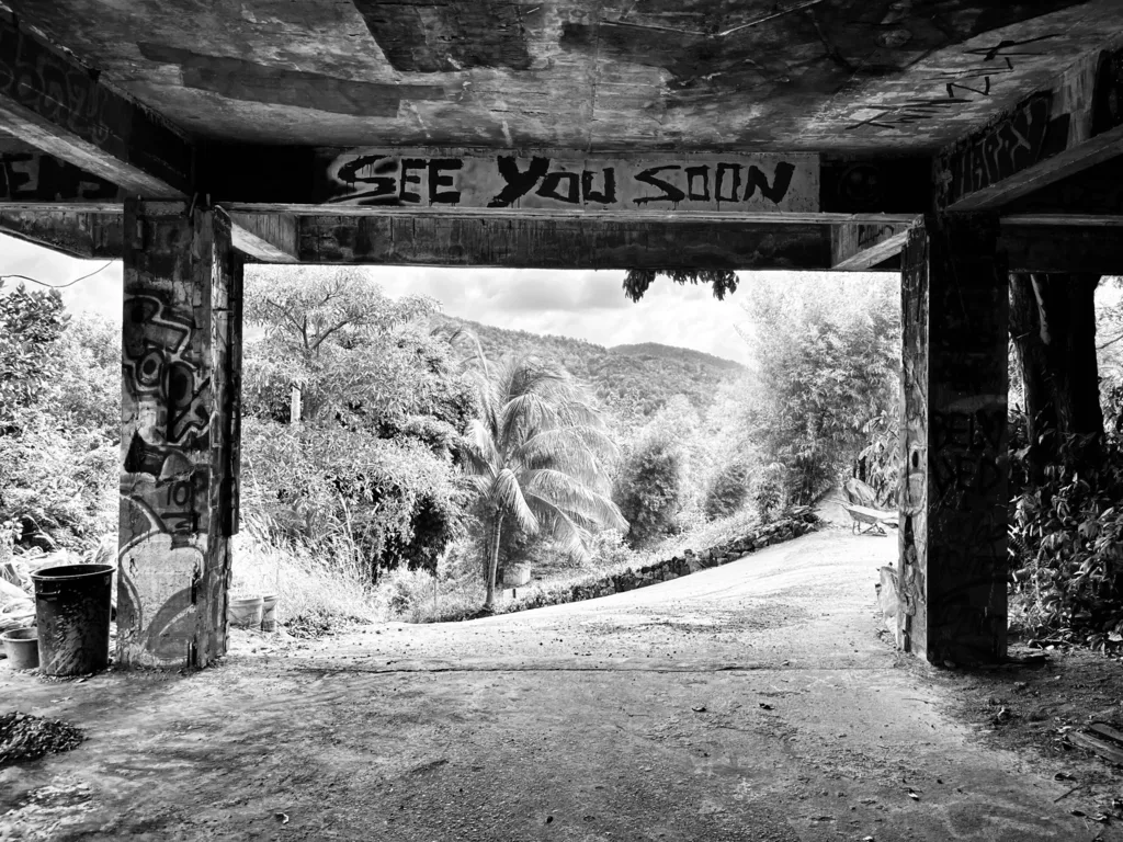SEE YOU SOON