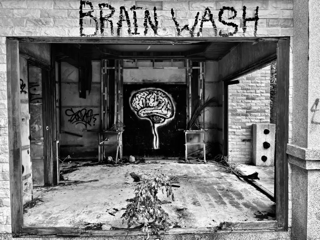 BRAIN WASH