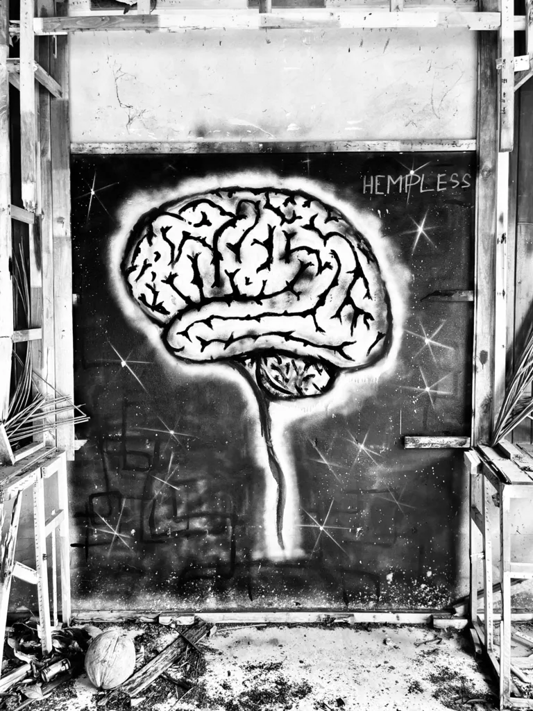 MIND ON THE WALL