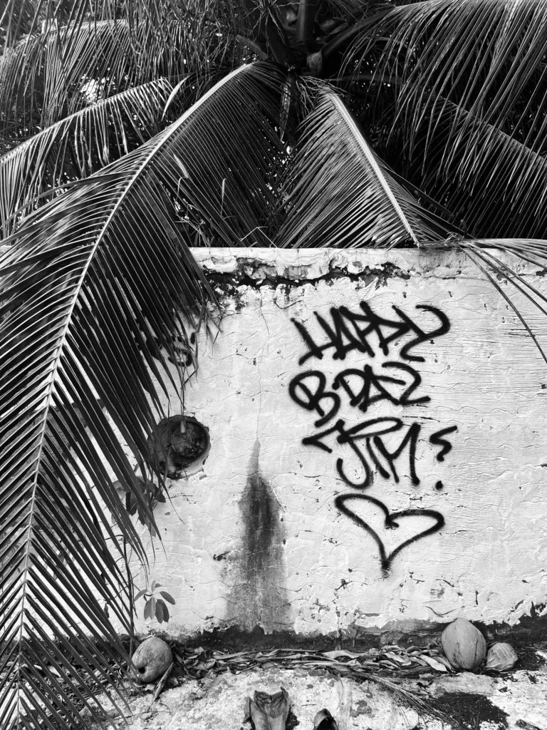TAGGED PALM