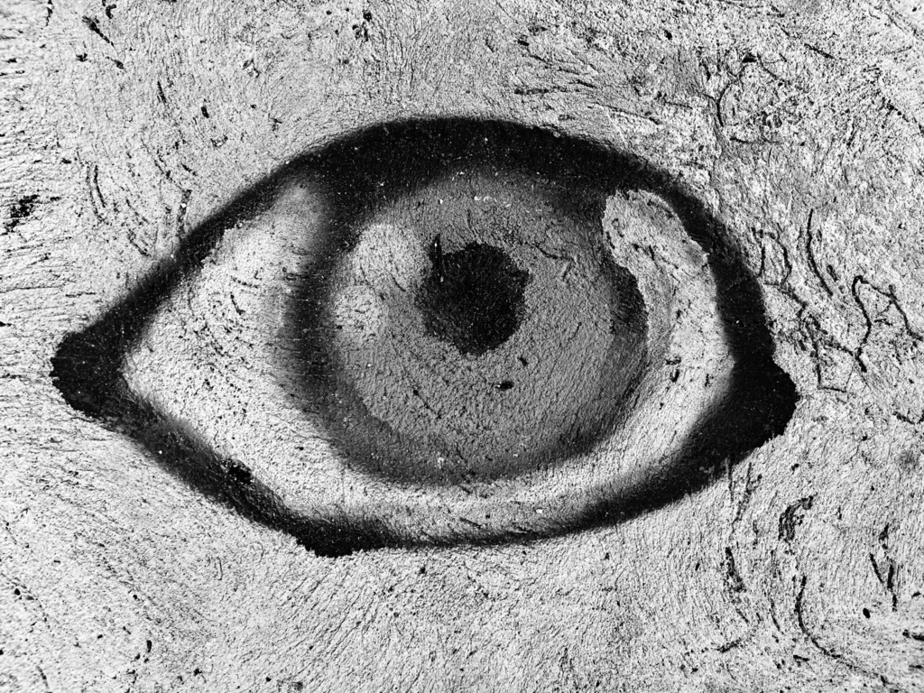 EYE ON THE GROUND