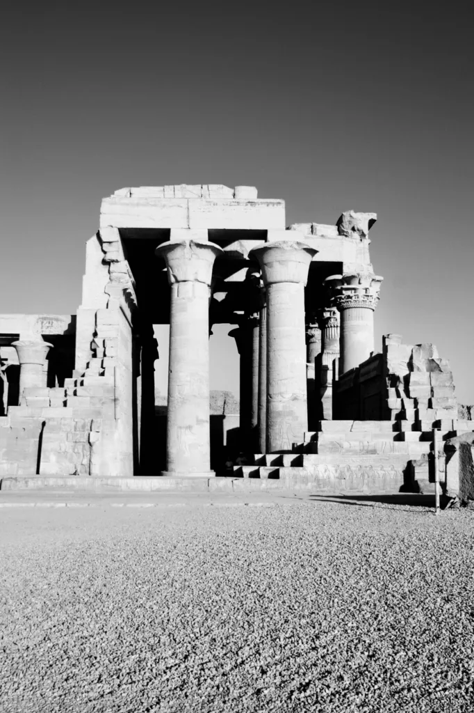 FOREST OF COLUMNS
