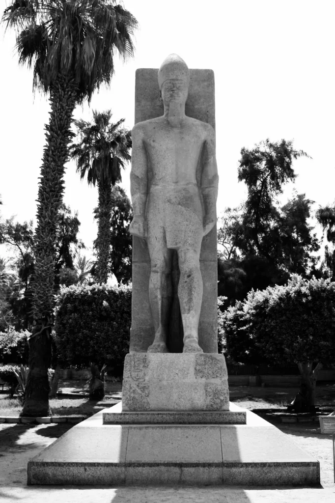 NEEDLE AND PALM