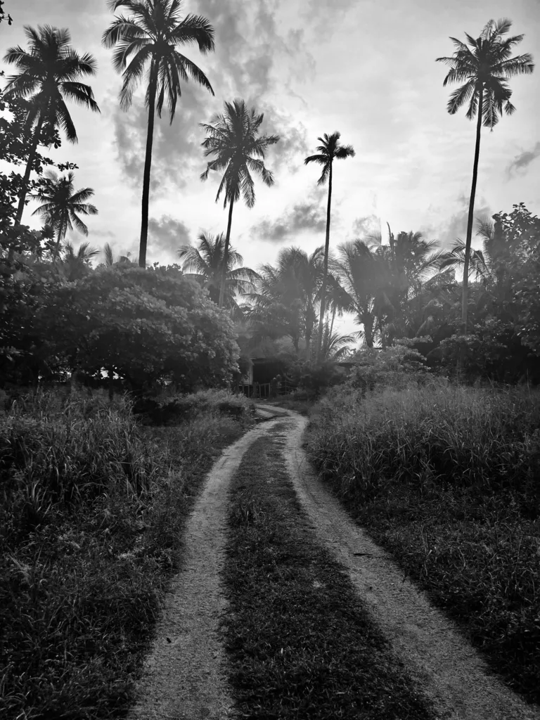 PATH TO THE SEA