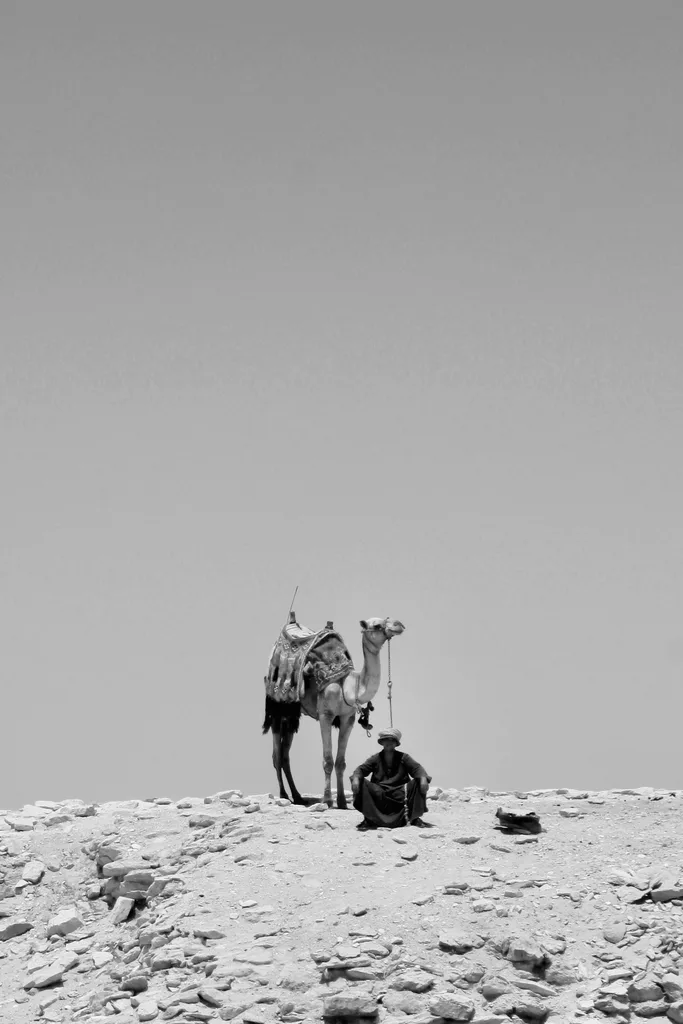 ALONE WITH THE SAND