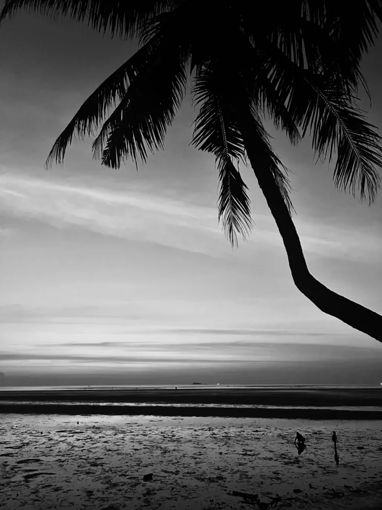 PALM AGAINST THE TIDE