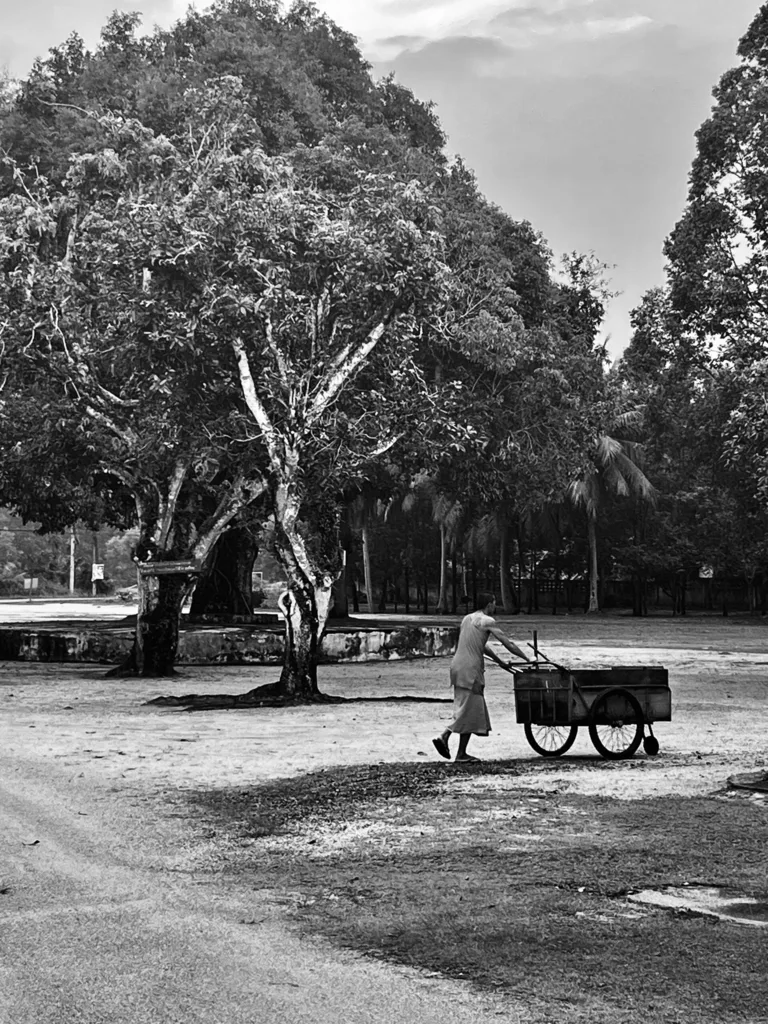 CART ON THE OPEN ROAD
