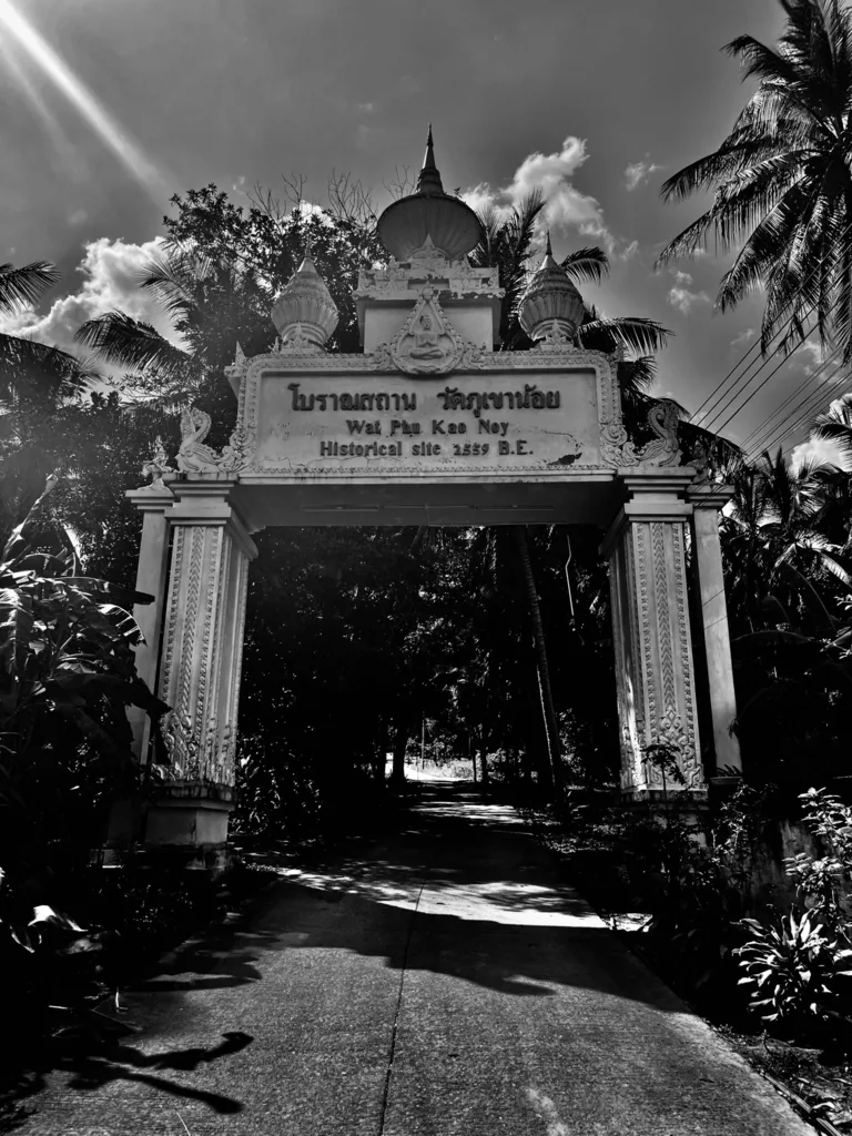 PASSAGE THROUGH THE GATE