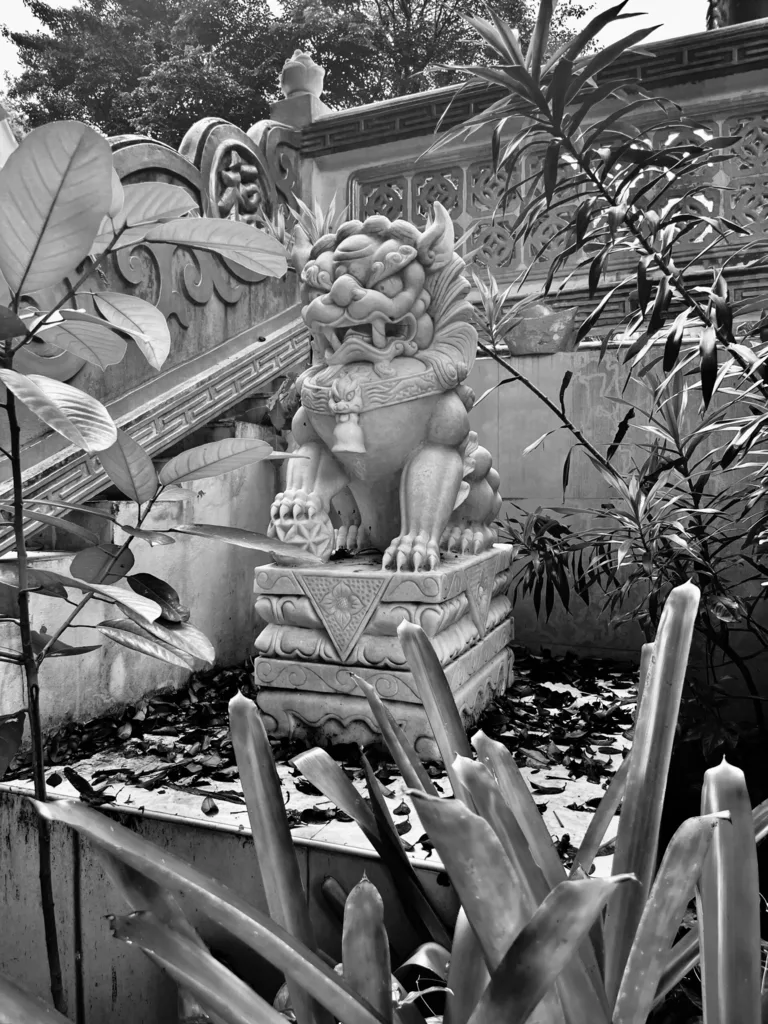GARDEN OF STONE FACES