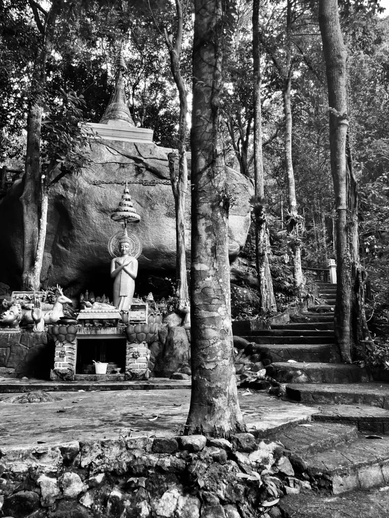 BUDDHA IN THE BANYAN