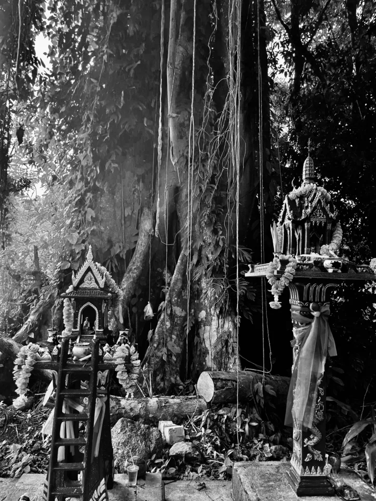 ROOTS AND RELICS