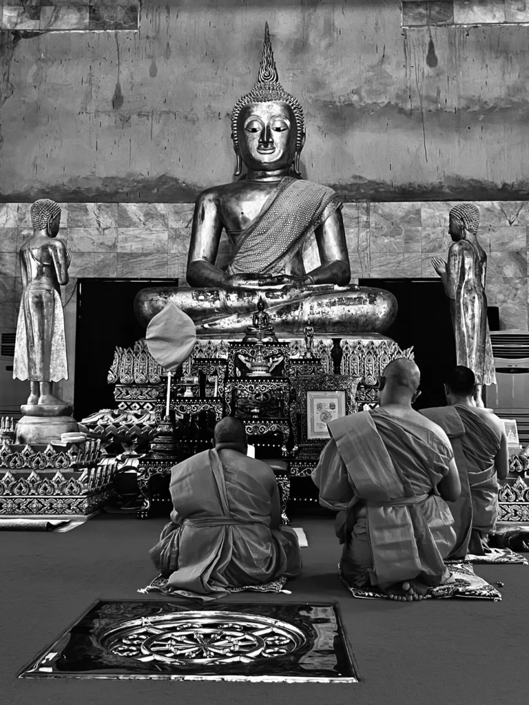 BUDDHA AND ELEPHANTS