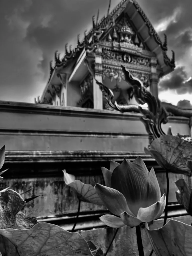 GUARDIANS OF THE GATE