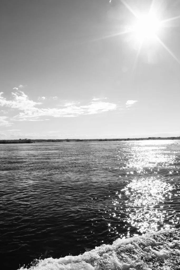 MIRROR OF LIGHT