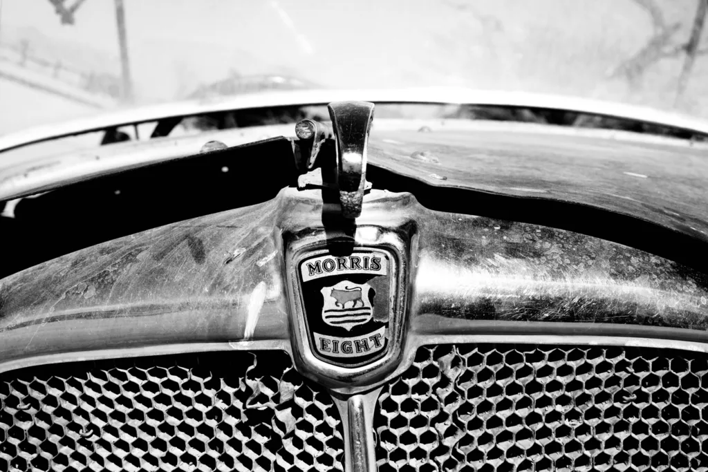 IRON BONES