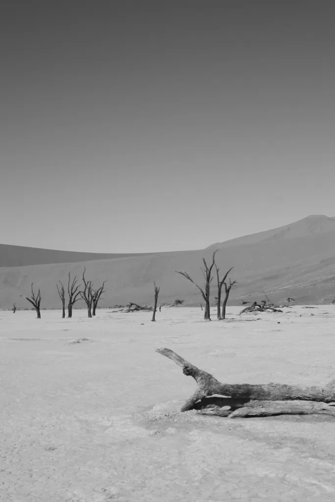 ANCIENT SENTINELS