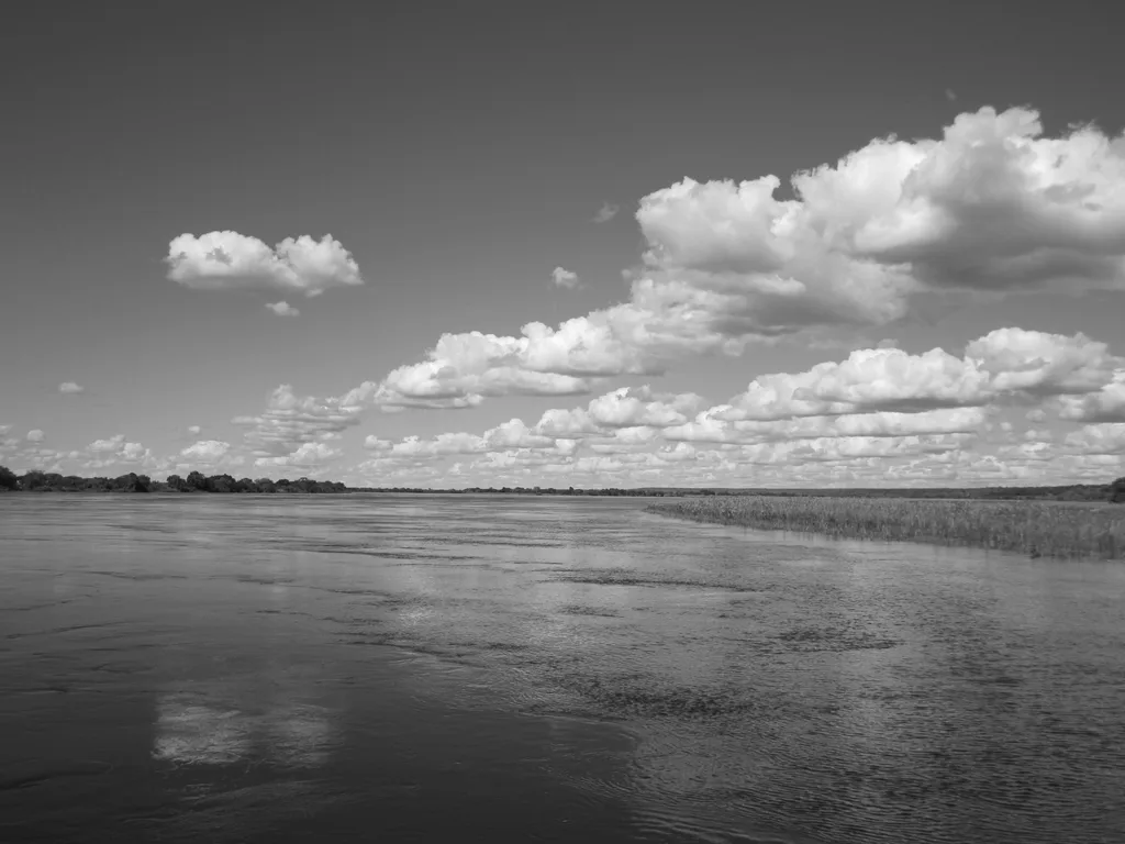GOLDEN PLAINS
