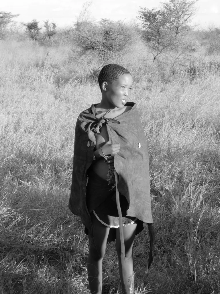 GRASSLAND GAZE