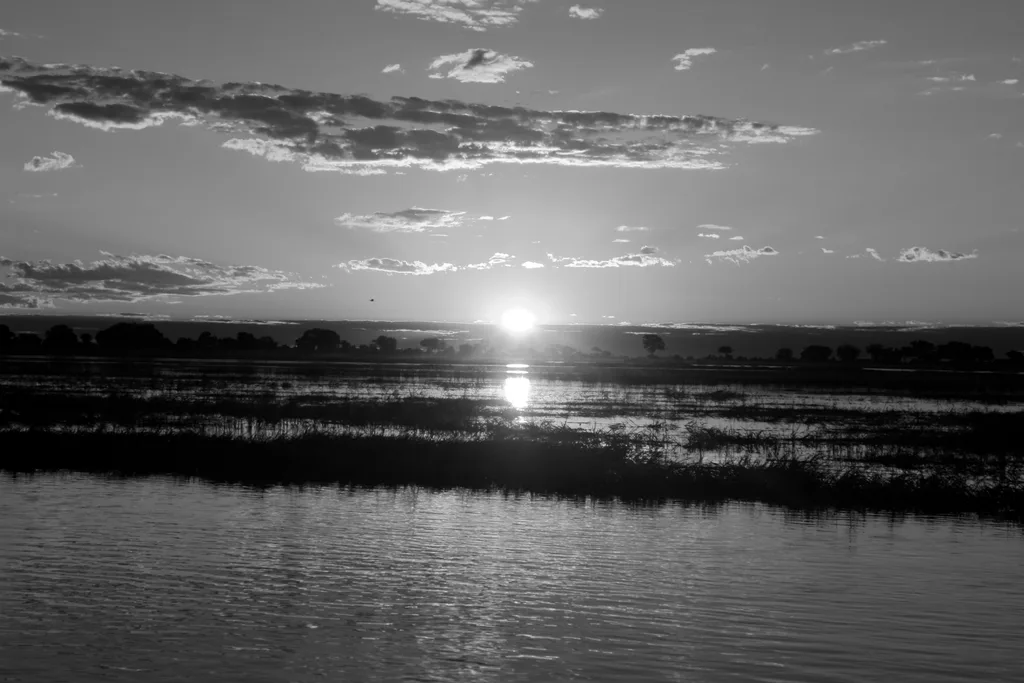 SHADOWED WATERHOLE