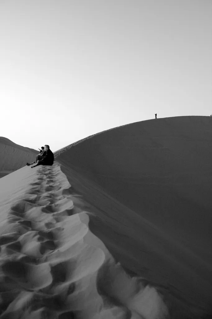 FORGOTTEN TRAIL