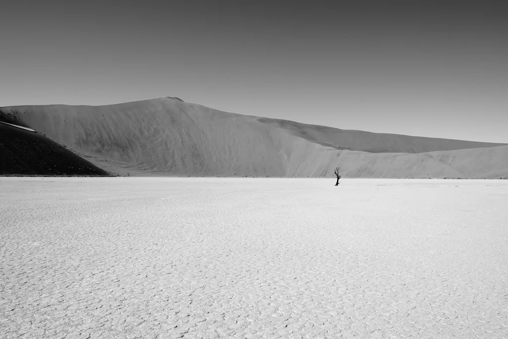 FORGOTTEN WATERHOLE