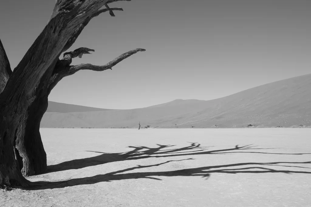 WANDERING CRADLE