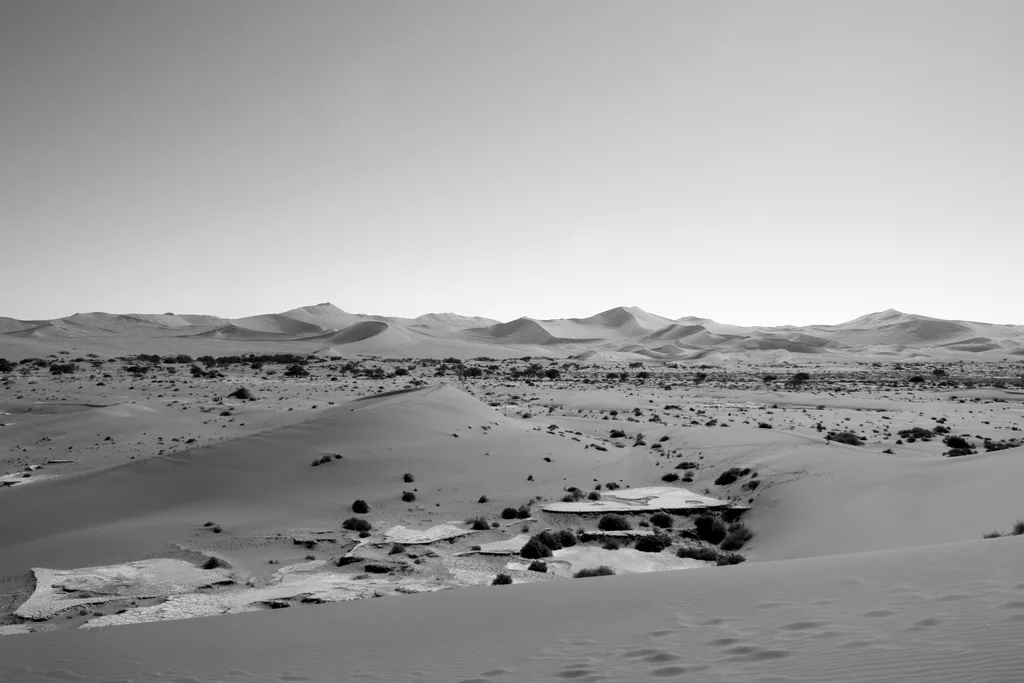 TIMEWORN DUST