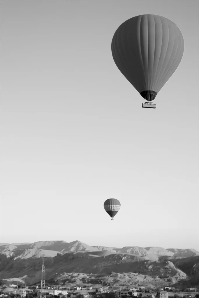 HIDDEN DAWN