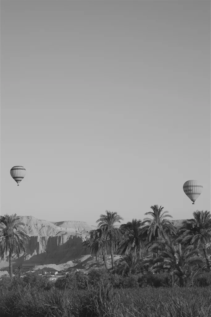 BARE NILE
