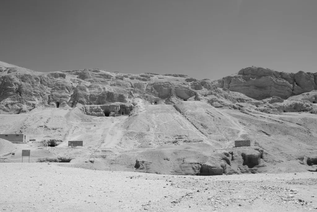 FORGOTTEN TOMB