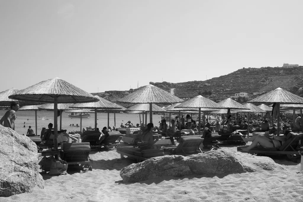 BARE HARBOR