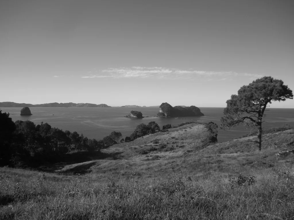HOLLOW BAY