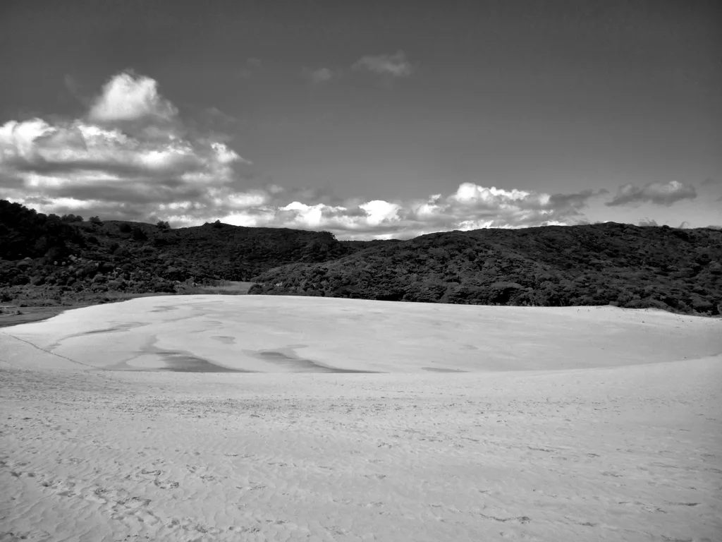 DISTANT TIDE