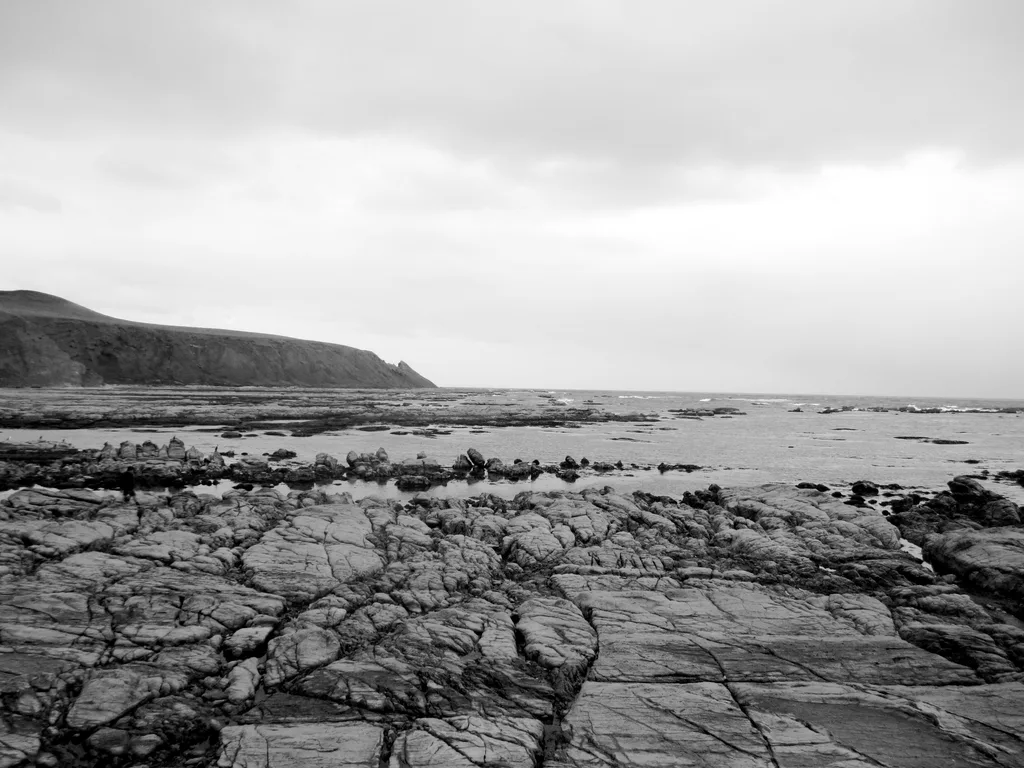 LOW COAST