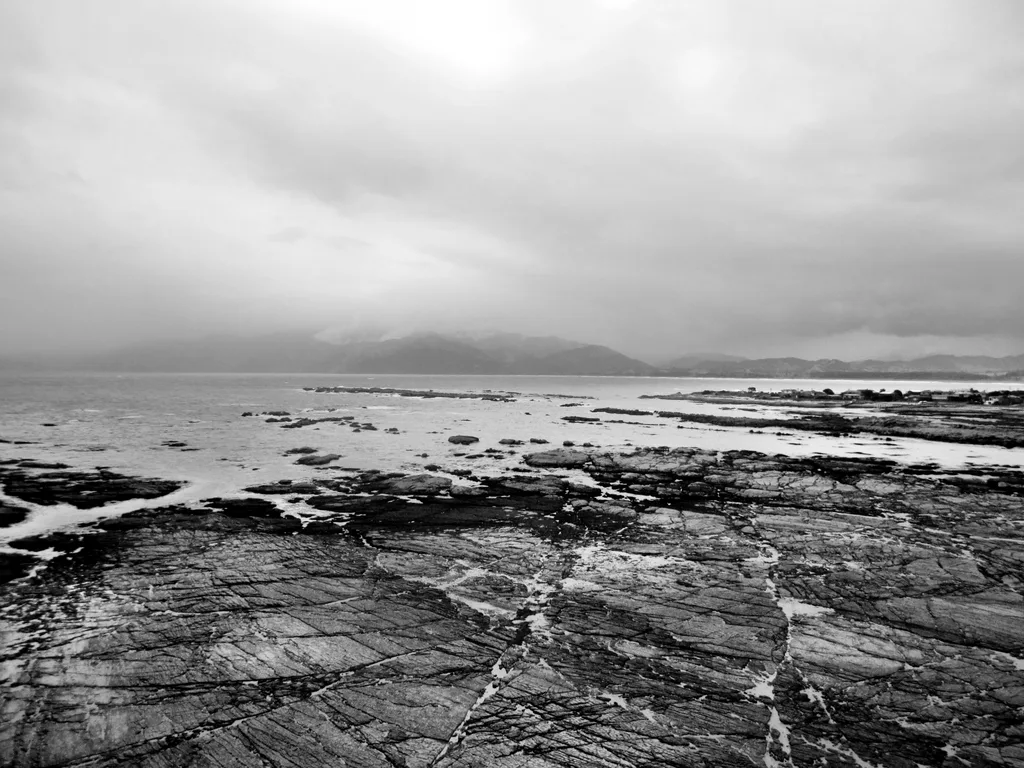 BARE TIDE