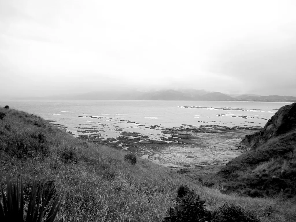 HOLLOW WIND