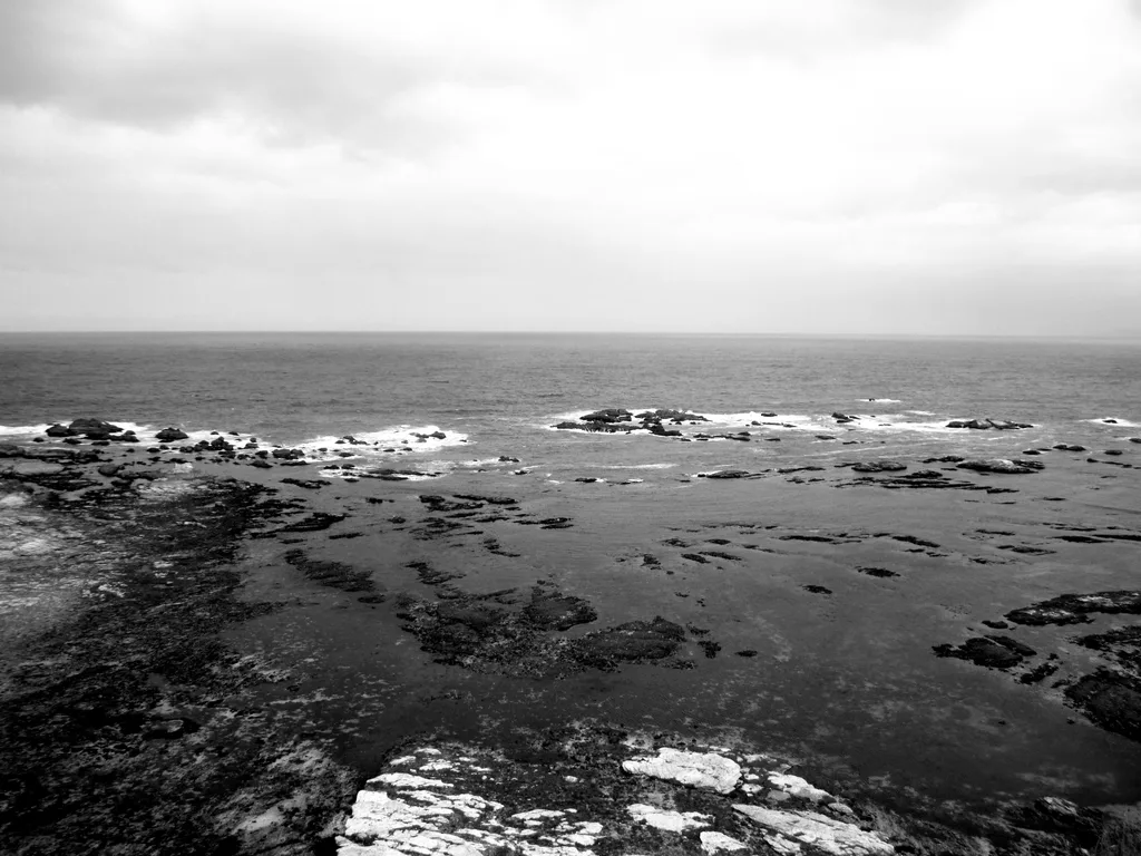 FADING COAST