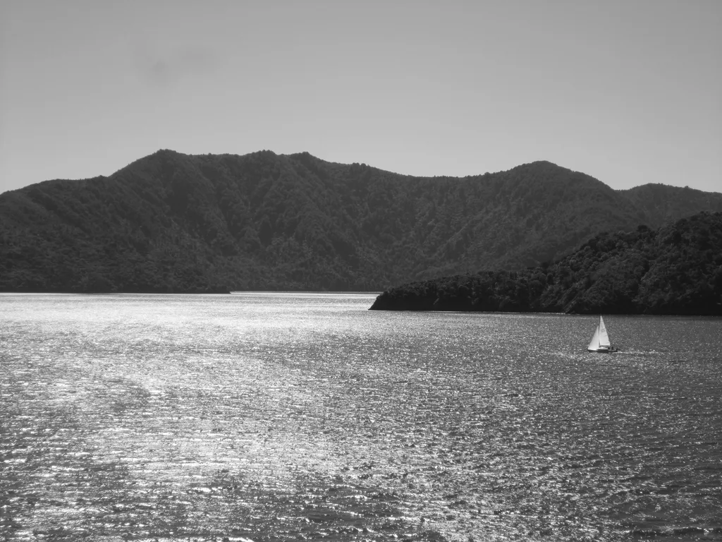 DRIFTING SAIL