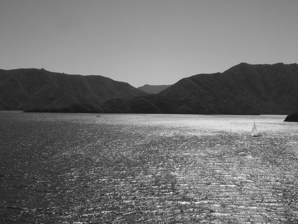 LOW FJORD