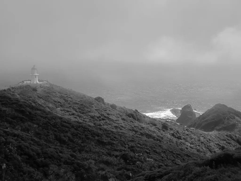 GRAY PASS