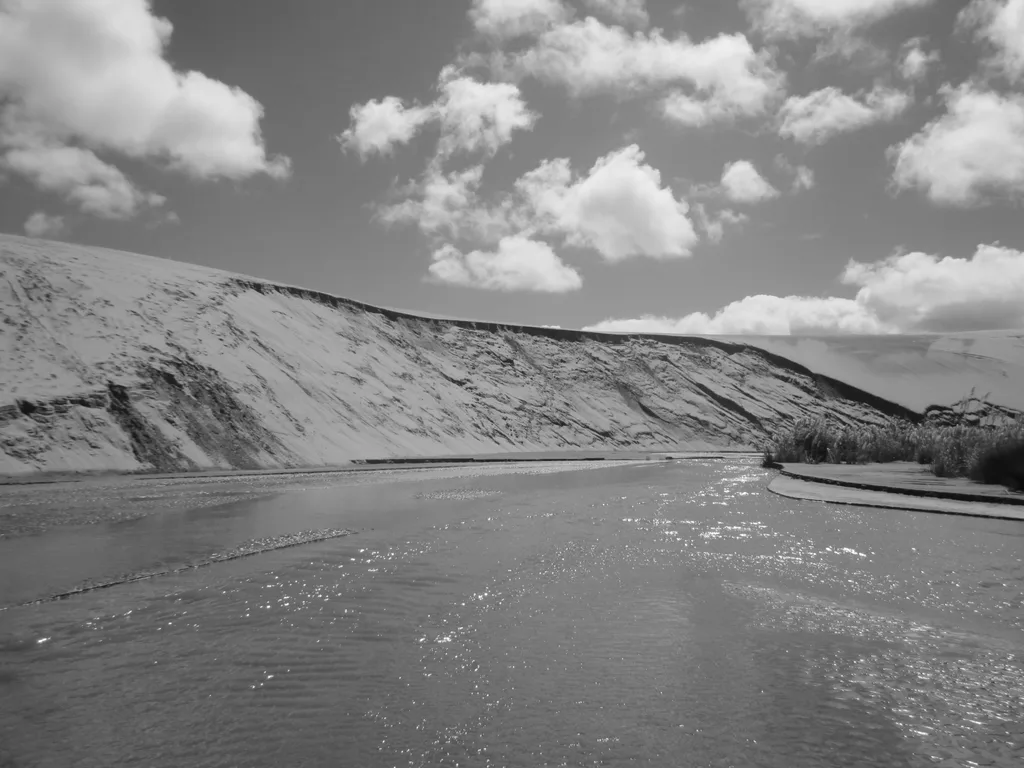 SILVER DUNE