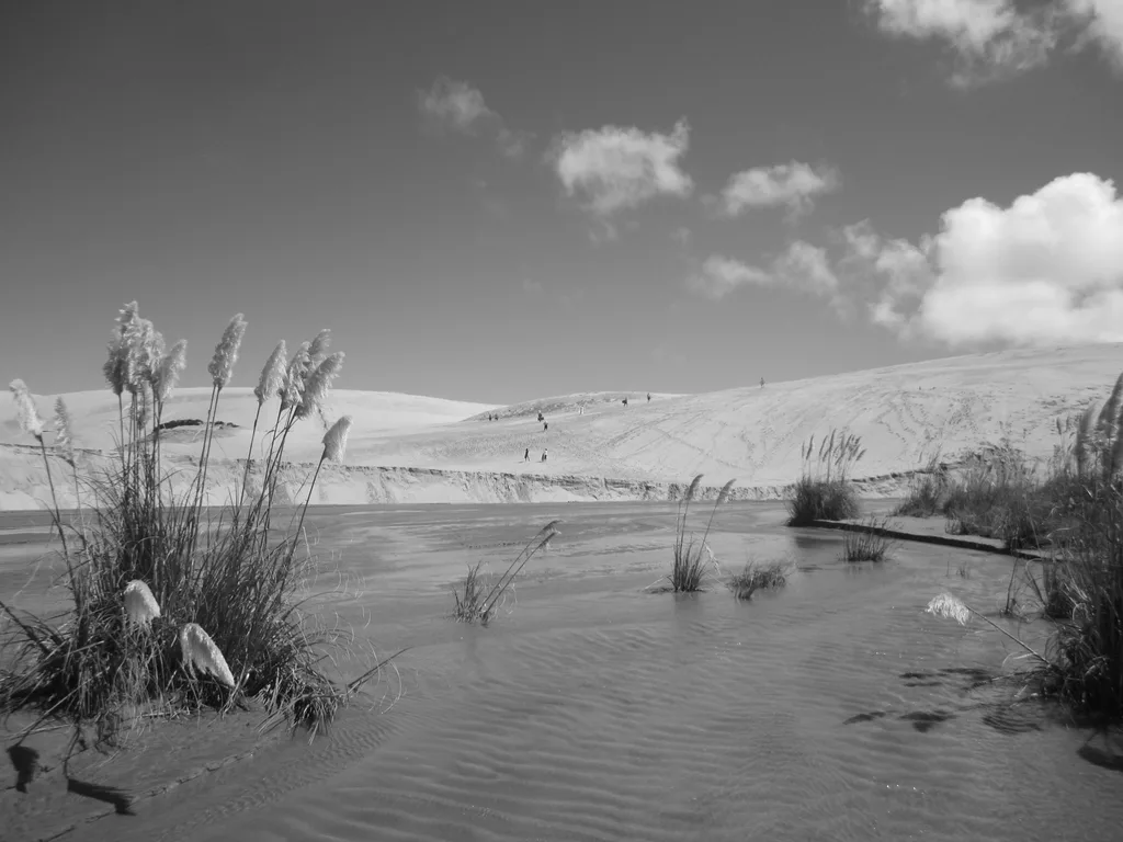 GLASSY SHORE
