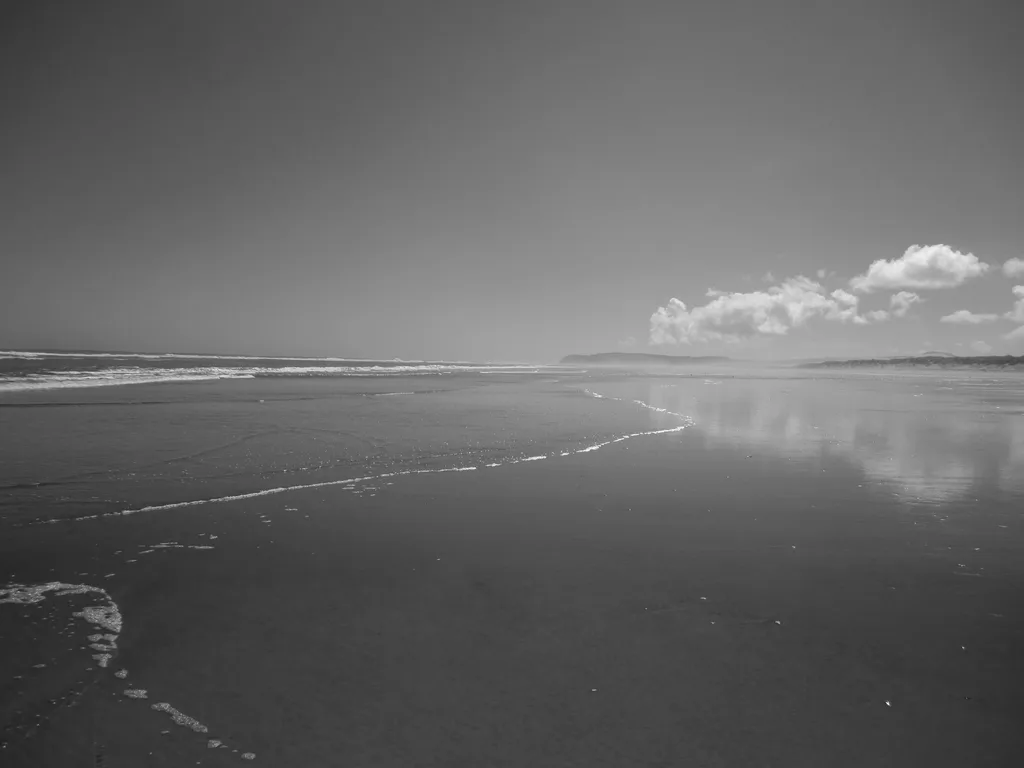 SALT LIGHT