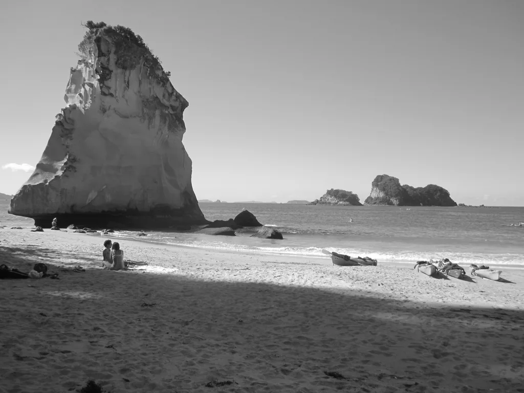 STARK REEF